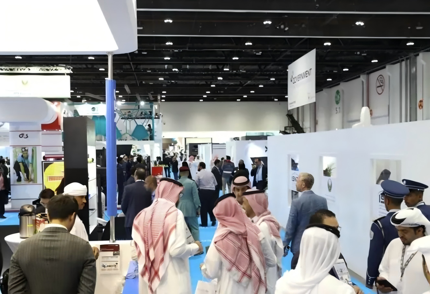 迪拜宠物(1) 迪拜宠物(1)