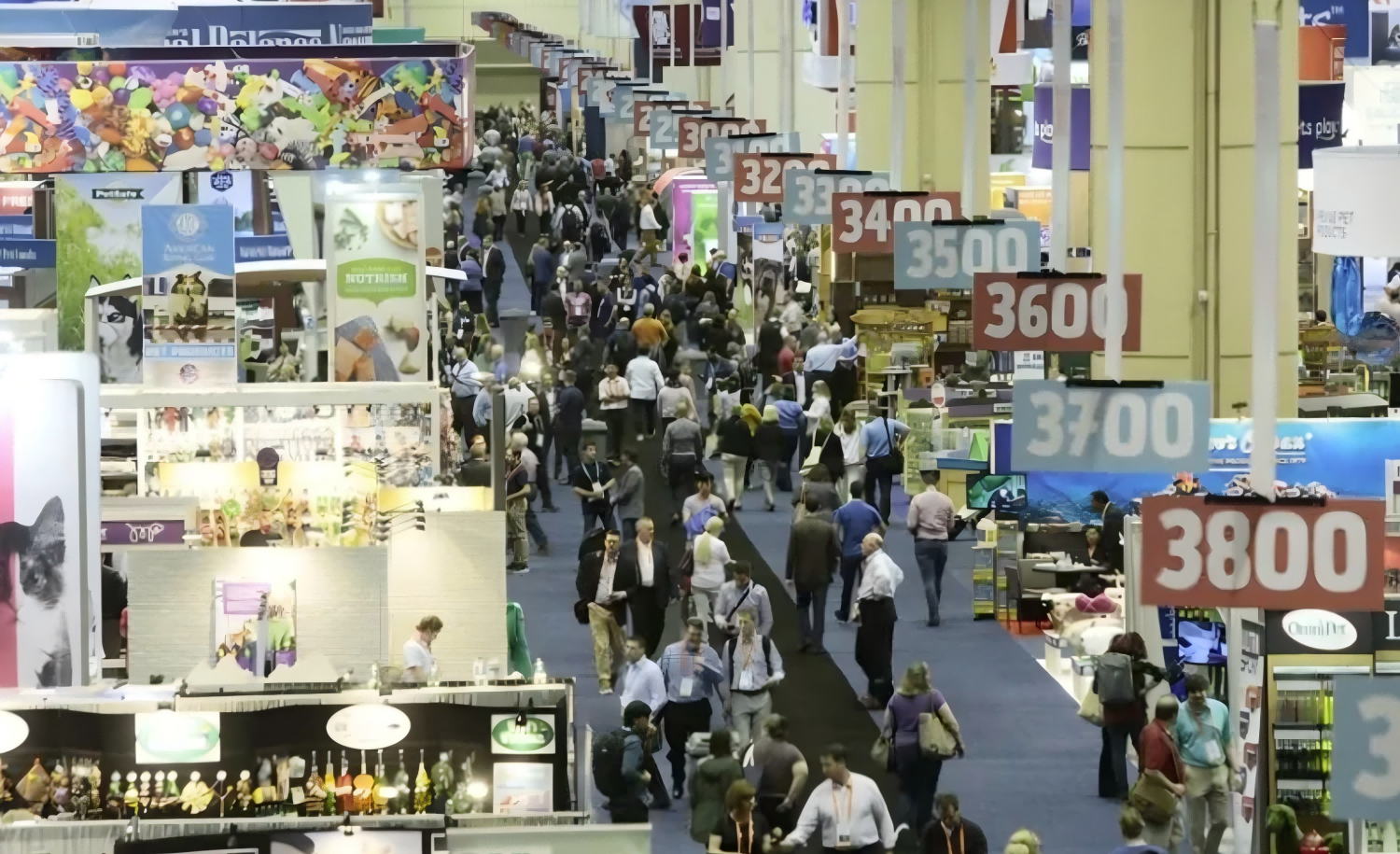 美国宠物(1) 美国宠物(1)