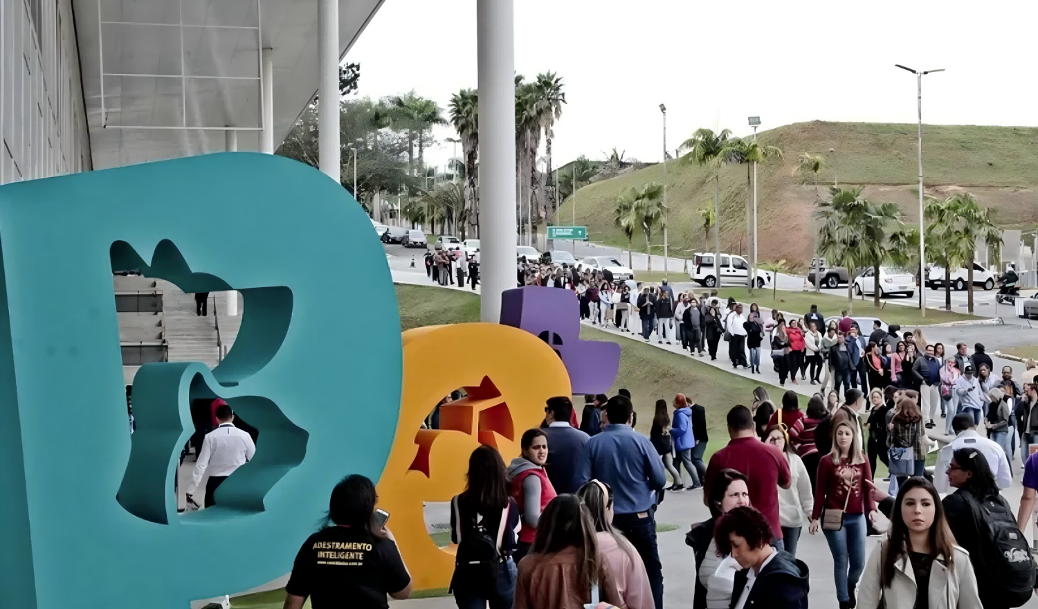 巴西宠物(1) 巴西宠物(1)