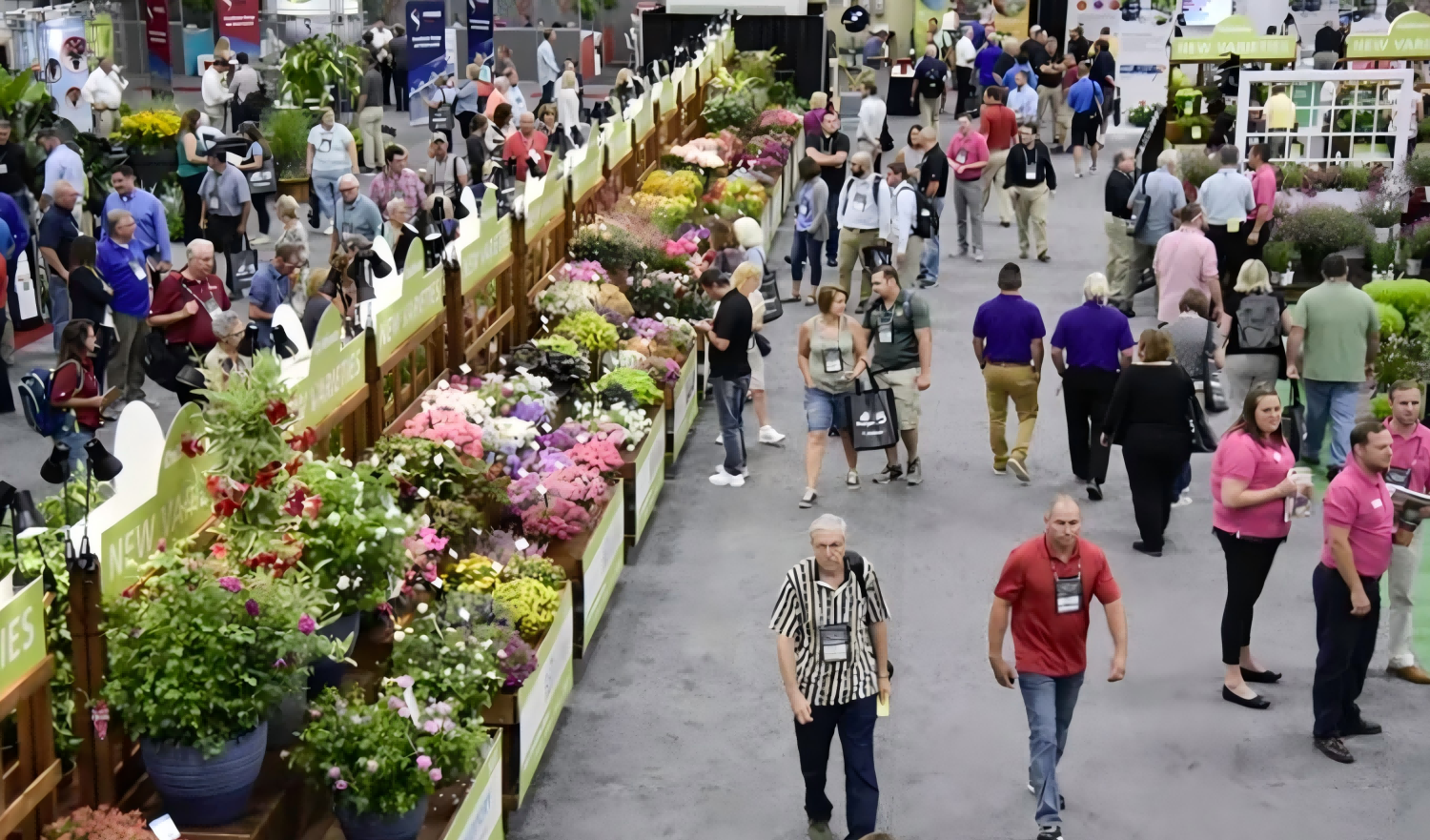 美国园艺(1) 美国园艺(1)