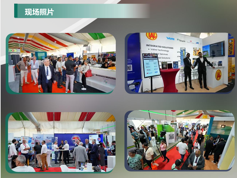 图片16