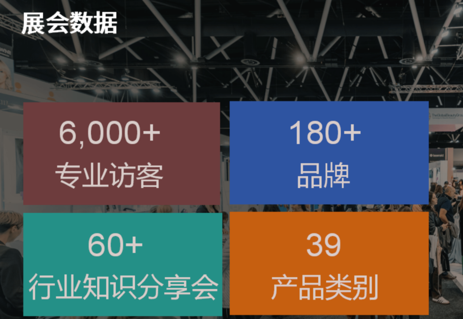 图片7